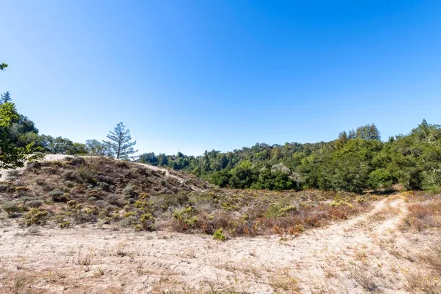a view of a dry yard with trees in the background