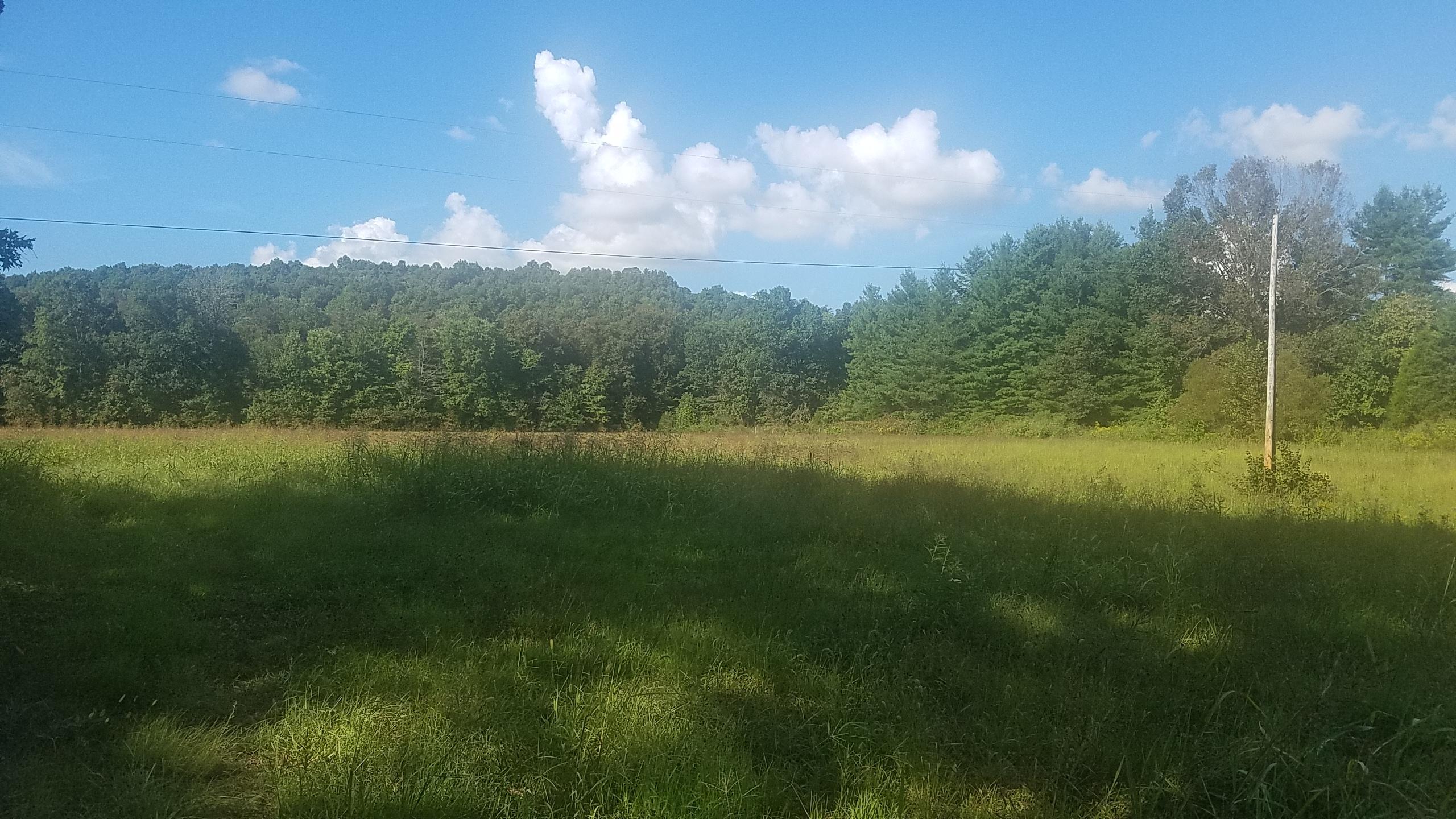 0 Riffe Creek Road Dunnville, KY 42528 - Photo 4 of 8 20180913_154743 (1)