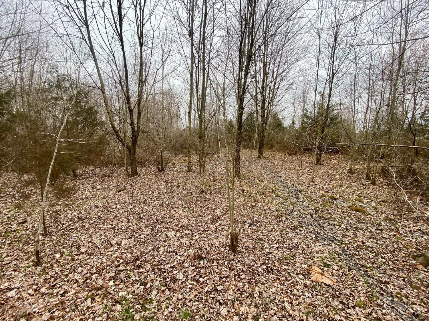 Ac Watson Road West Union, OH 45693 - Photo 7 of 18 Gallery Image 7
