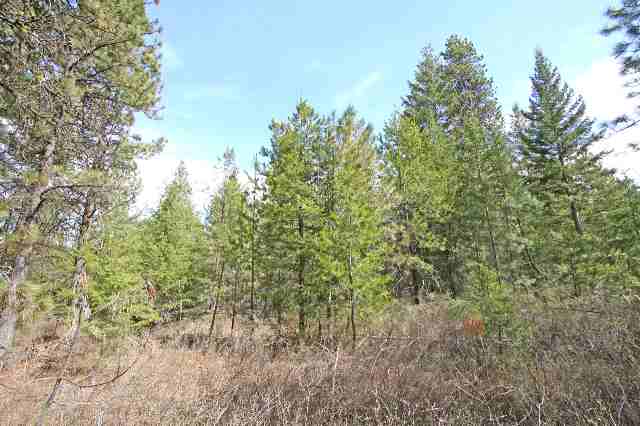 39405 North Jackson Road Elk, WA 99009 - Photo 1 of 9