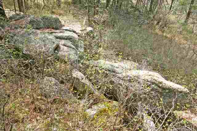 39405 North Jackson Road Elk, WA 99009 - Photo 3 of 9