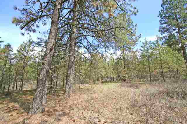 39405 North Jackson Road Elk, WA 99009 - Photo 5 of 9
