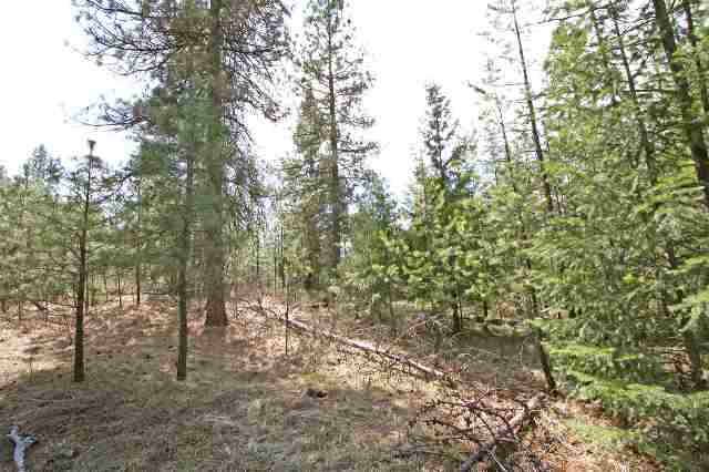 39405 North Jackson Road Elk, WA 99009 - Photo 6 of 9