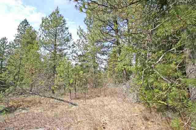 39405 North Jackson Road Elk, WA 99009 - Photo 8 of 9