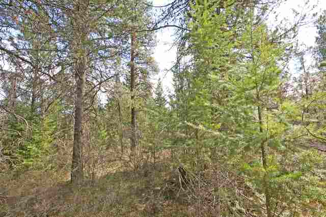 39405 North Jackson Road Elk, WA 99009 - Photo 9 of 9