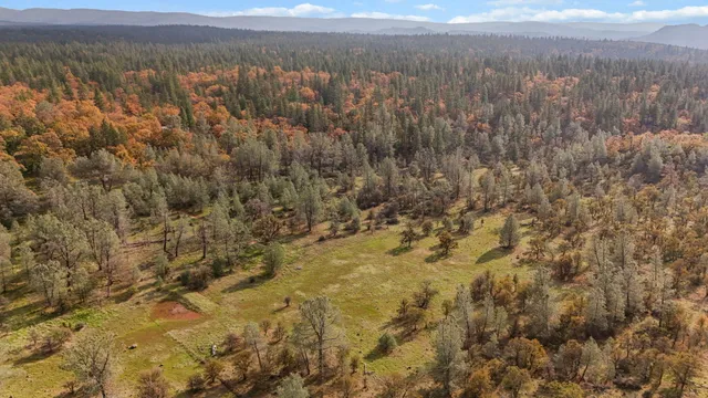 a view of city and mountain