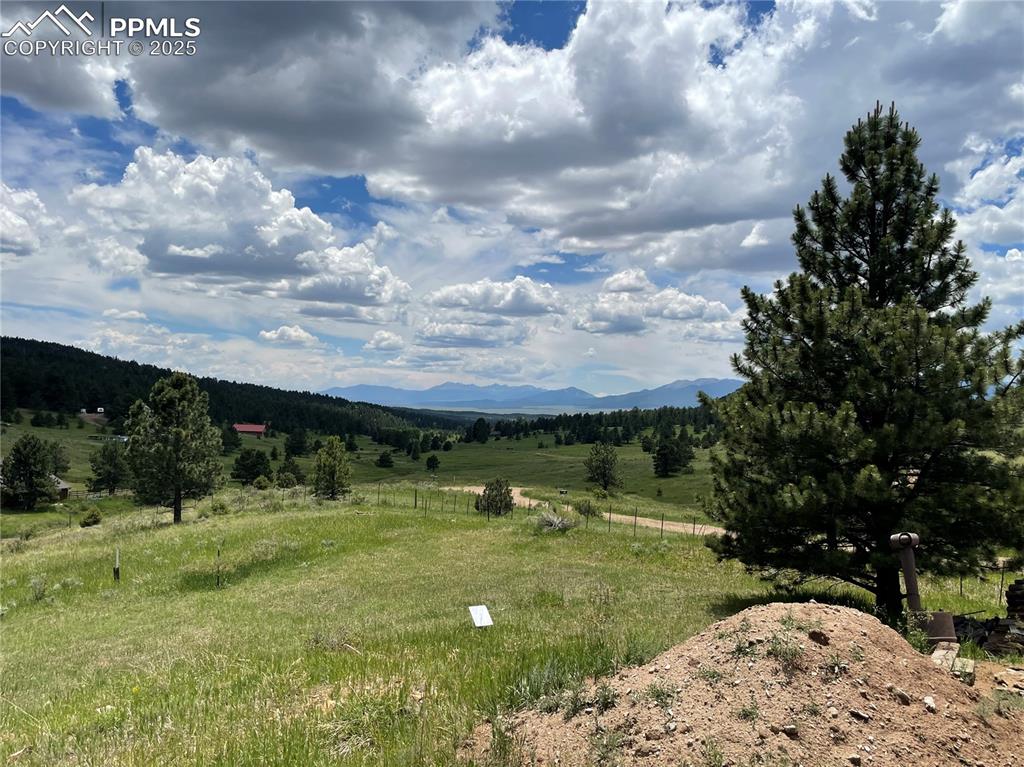 291 Junkins Loop Westcliffe, CO 81252 - Photo 21 of 41 a view of a garden with a building