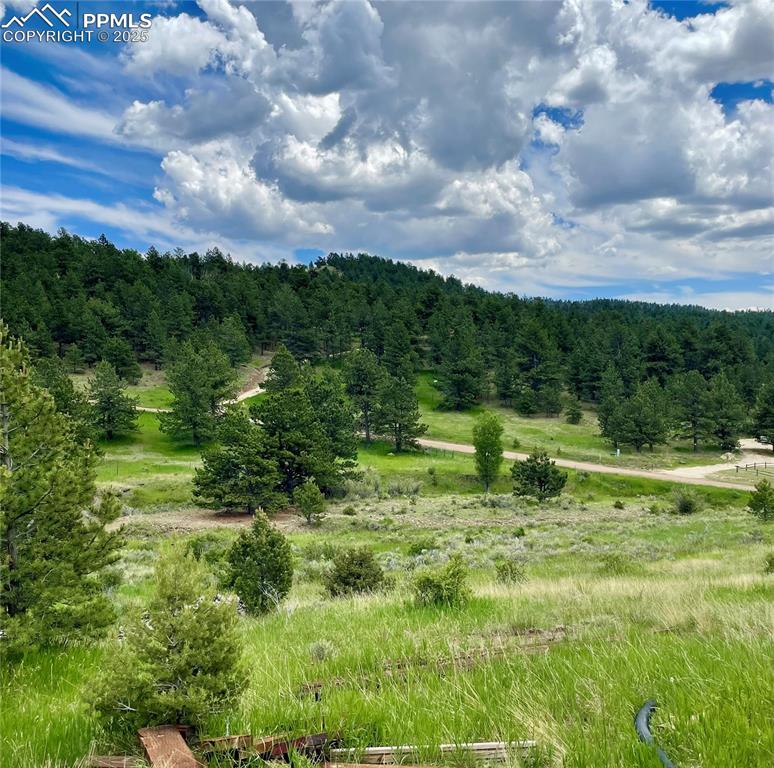 291 Junkins Loop Westcliffe, CO 81252 - Photo 25 of 41 a view of a garden with an outdoor space