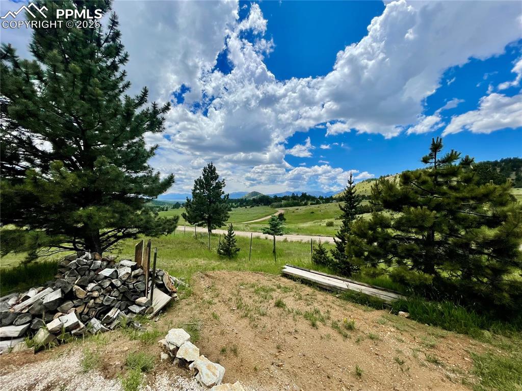 291 Junkins Loop Westcliffe, CO 81252 - Photo 28 of 41 a view of a park with large trees