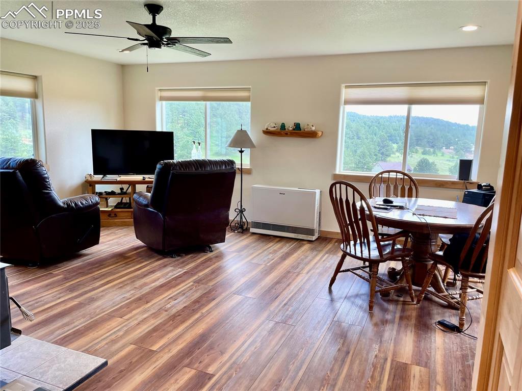 291 Junkins Loop Westcliffe, CO 81252 - Photo 3 of 41 a view of a livingroom with furniture window and wooden floor