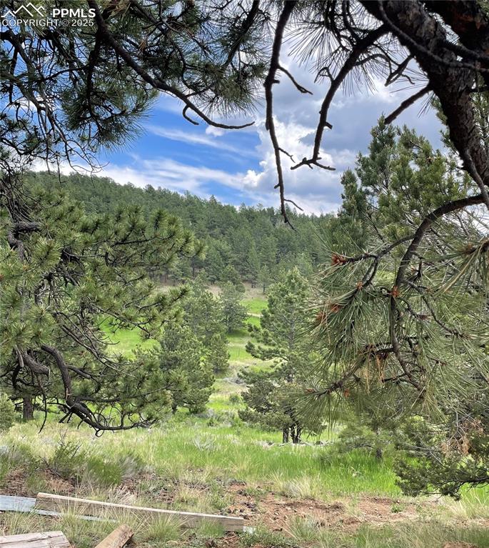 291 Junkins Loop Westcliffe, CO 81252 - Photo 33 of 41 a view of a yard with table and chairs