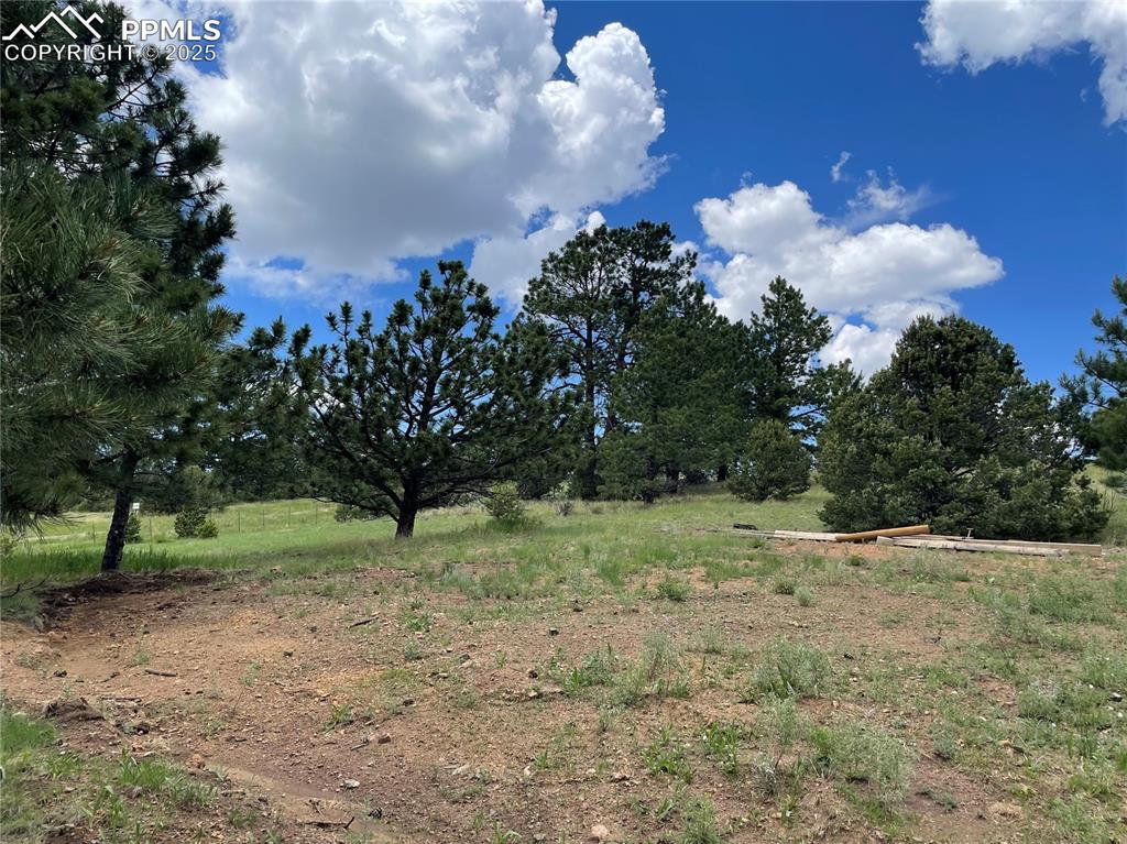 291 Junkins Loop Westcliffe, CO 81252 - Photo 36 of 41 a view of a tree in a field