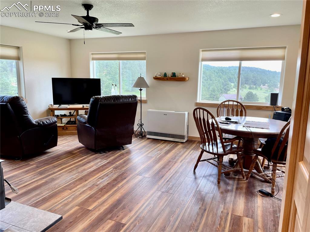291 Junkins Loop Westcliffe, CO 81252 - Photo 4 of 41 a view of a livingroom with furniture window and wooden floor