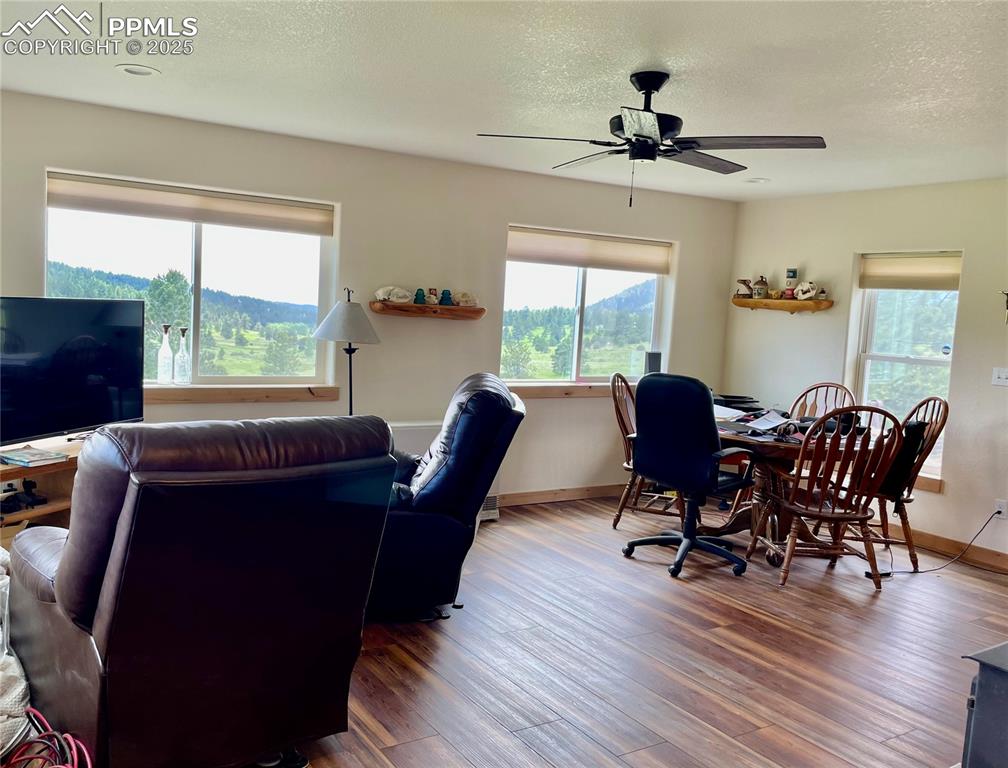 291 Junkins Loop Westcliffe, CO 81252 - Photo 8 of 41 a view of a dining room with furniture window and wooden floor