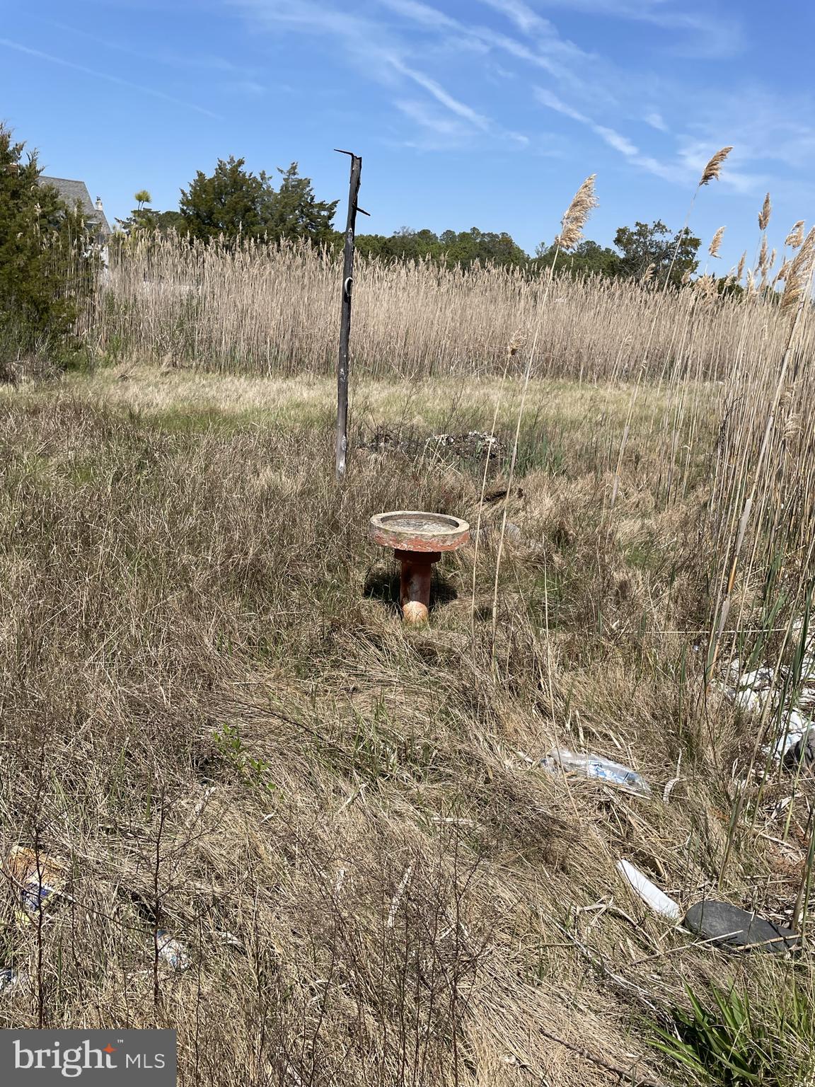 2333 Wingate Bishops Head Road Wingate, MD 21675 - Photo 42 of 46 Property Surrounding Home