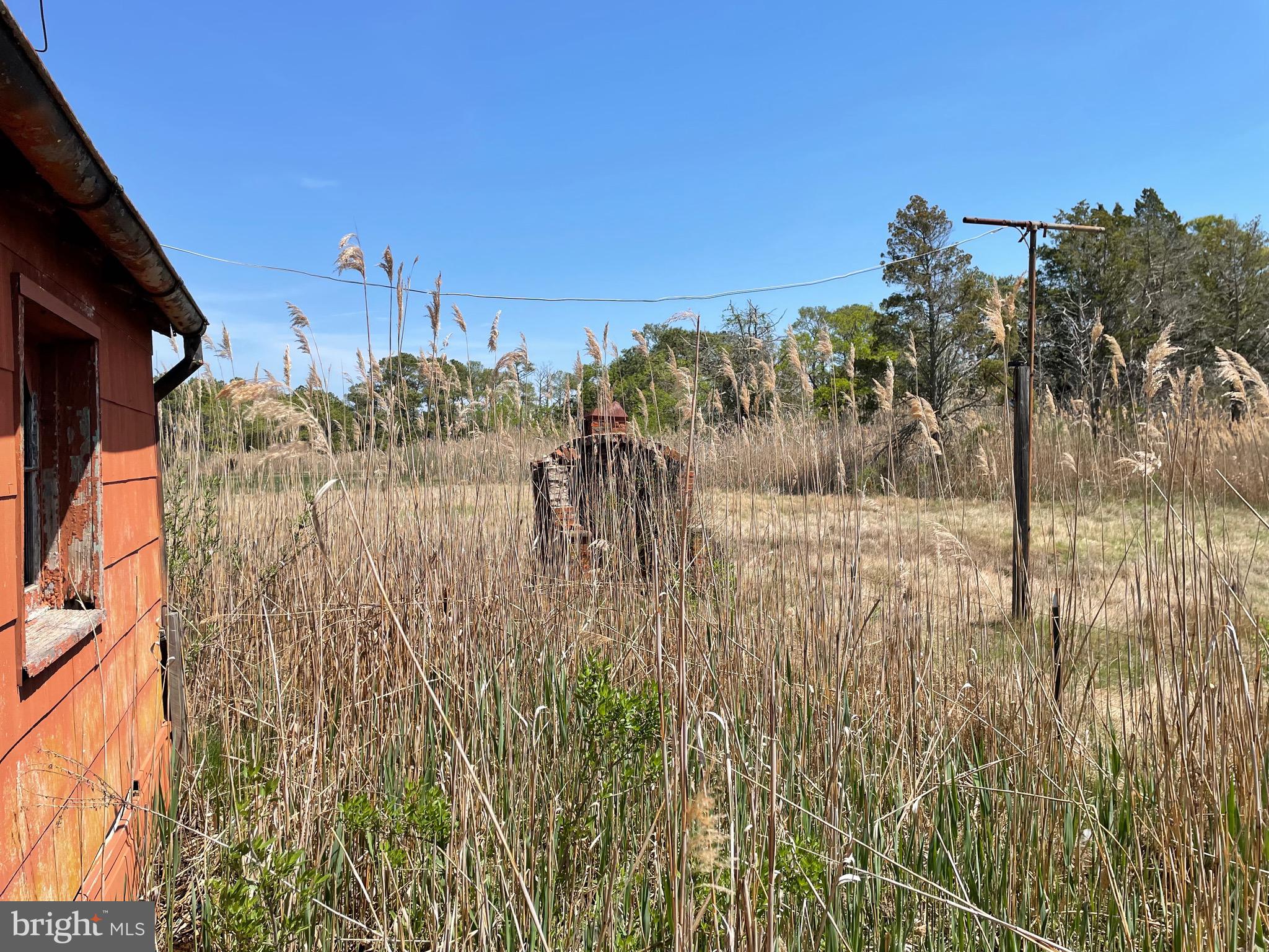 2333 Wingate Bishops Head Road Wingate, MD 21675 - Photo 43 of 46 Behind Home