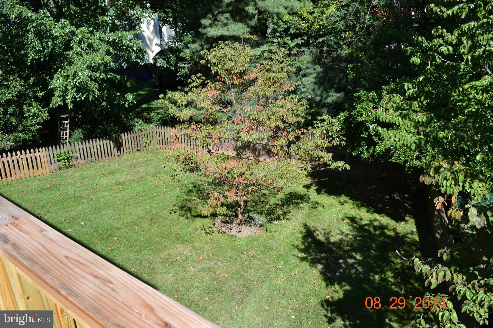 6003 Conway Road Bethesda, MD 20817 - Photo 13 of 24 Exterior (Rear)
