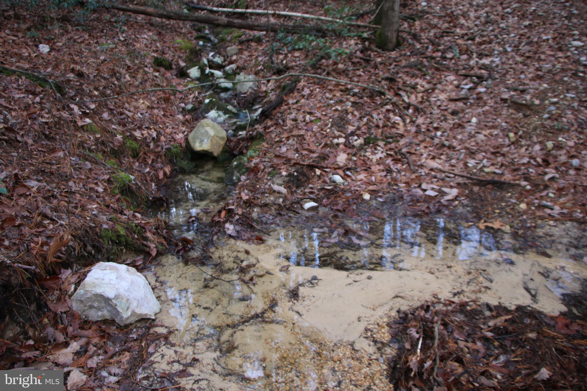Valley Burg Road Luray, VA 22835 - Photo 12 of 43