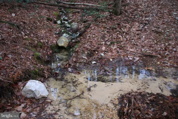 a view of a dry yard with lots of bushes