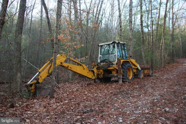 a view of a backyard with trees