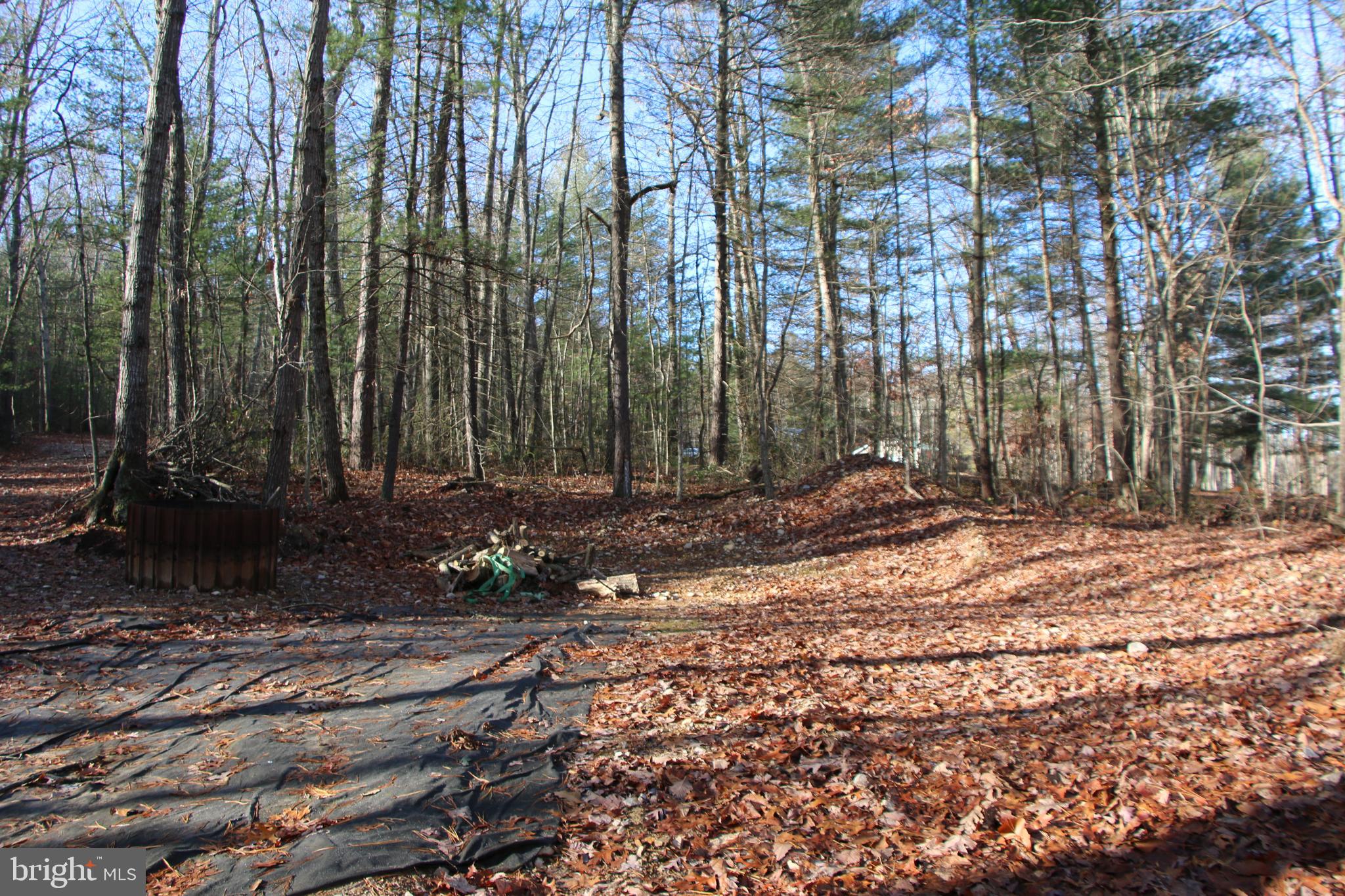 Valley Burg Road Luray, VA 22835 - Photo 18 of 43