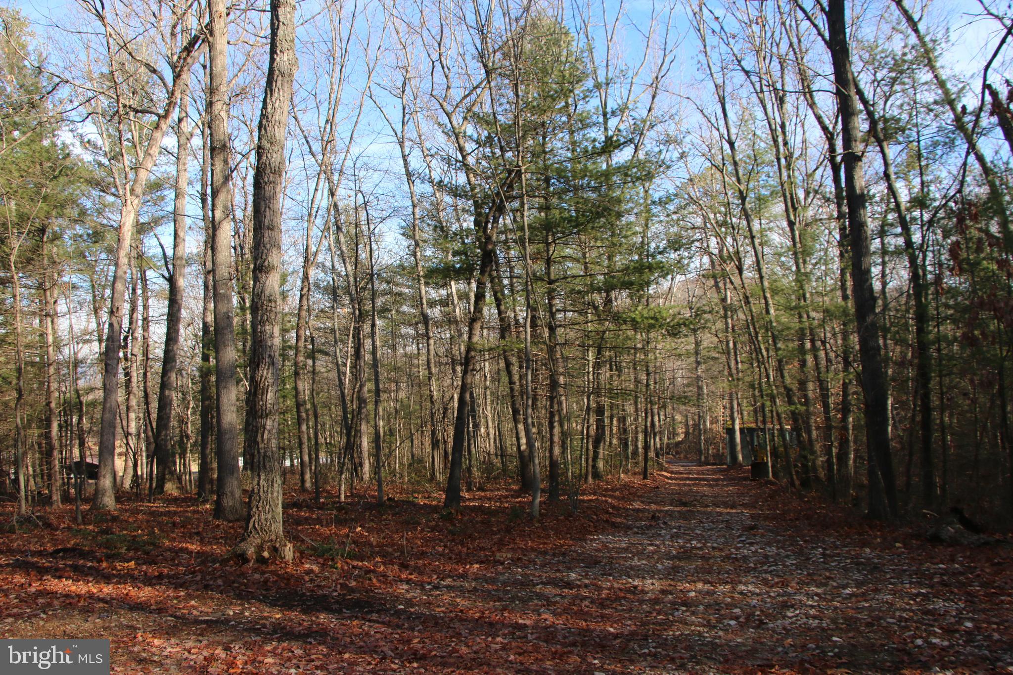 Valley Burg Road Luray, VA 22835 - Photo 19 of 43