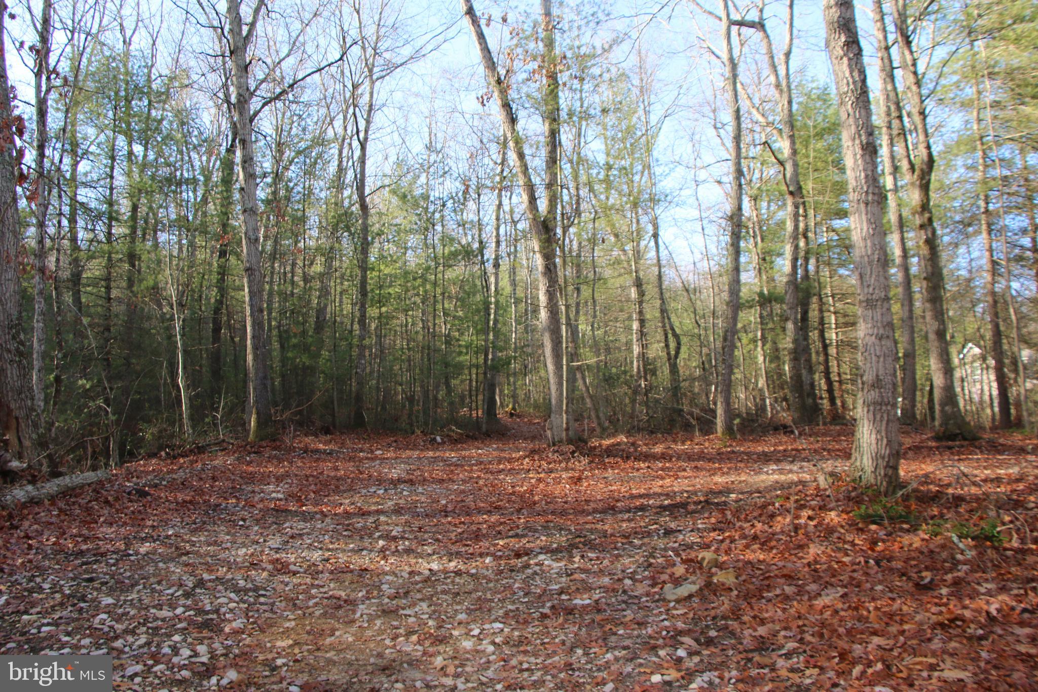 Valley Burg Road Luray, VA 22835 - Photo 2 of 43
