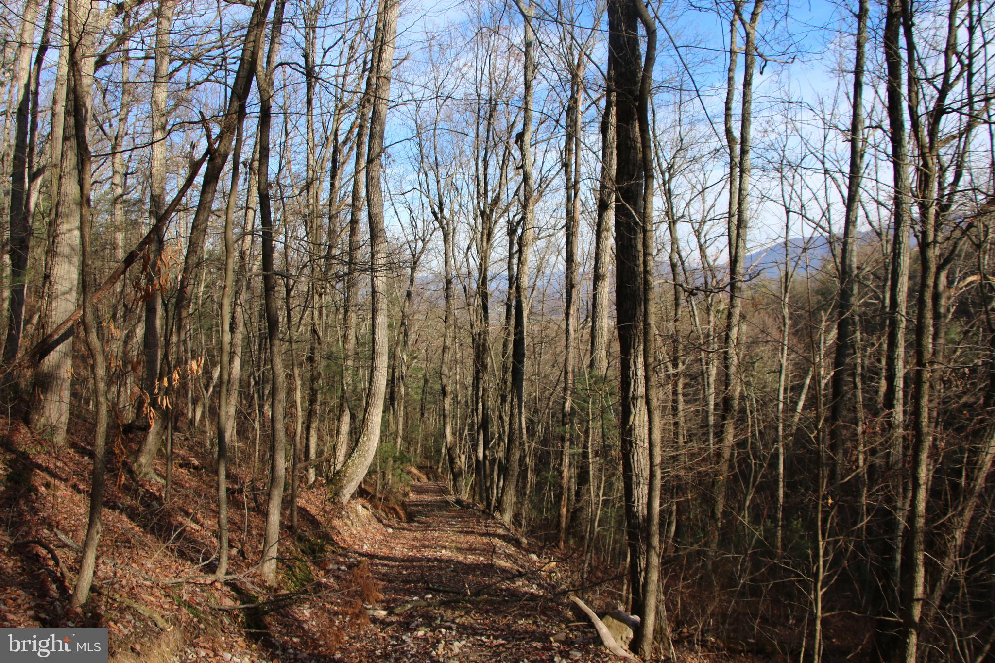 Valley Burg Road Luray, VA 22835 - Photo 21 of 43