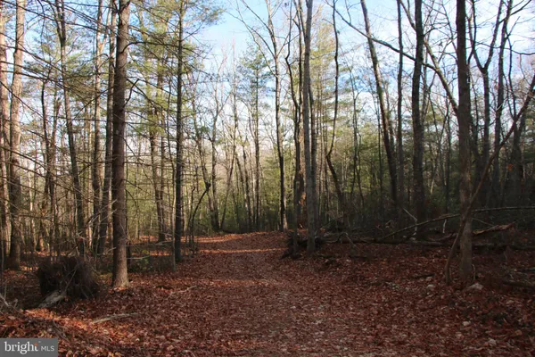 a view of wooden fence