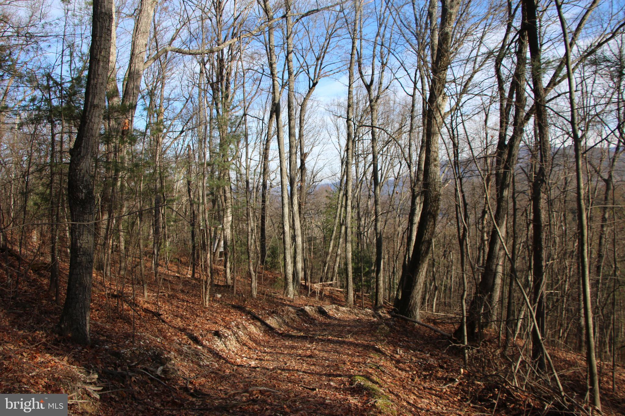 Valley Burg Road Luray, VA 22835 - Photo 23 of 61