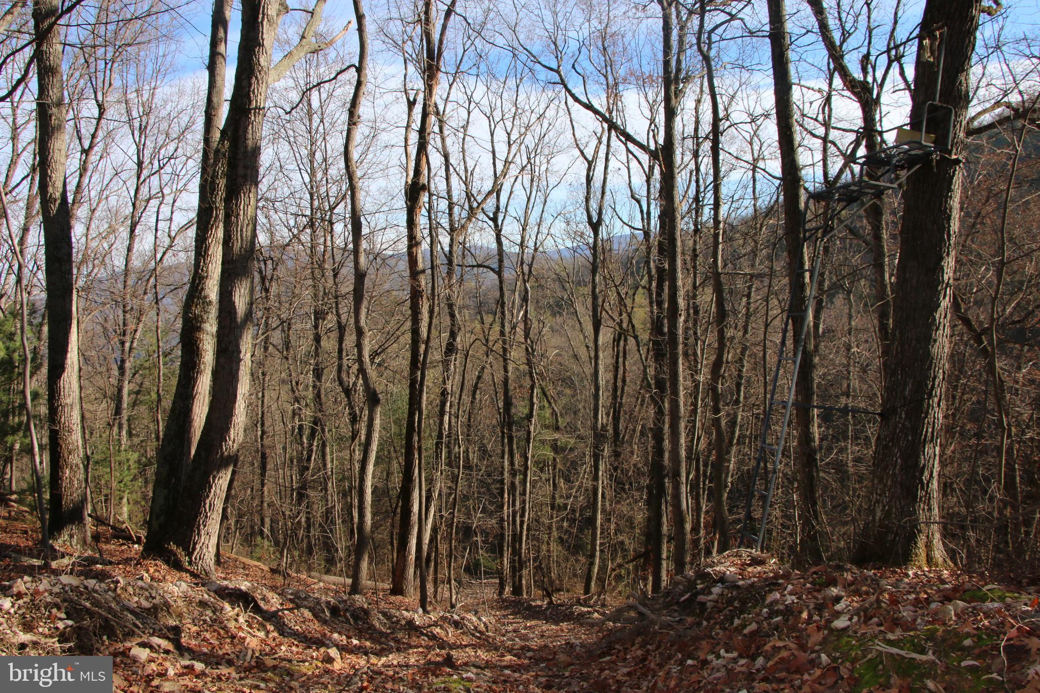 Valley Burg Road Luray, VA 22835 - Photo 24 of 61