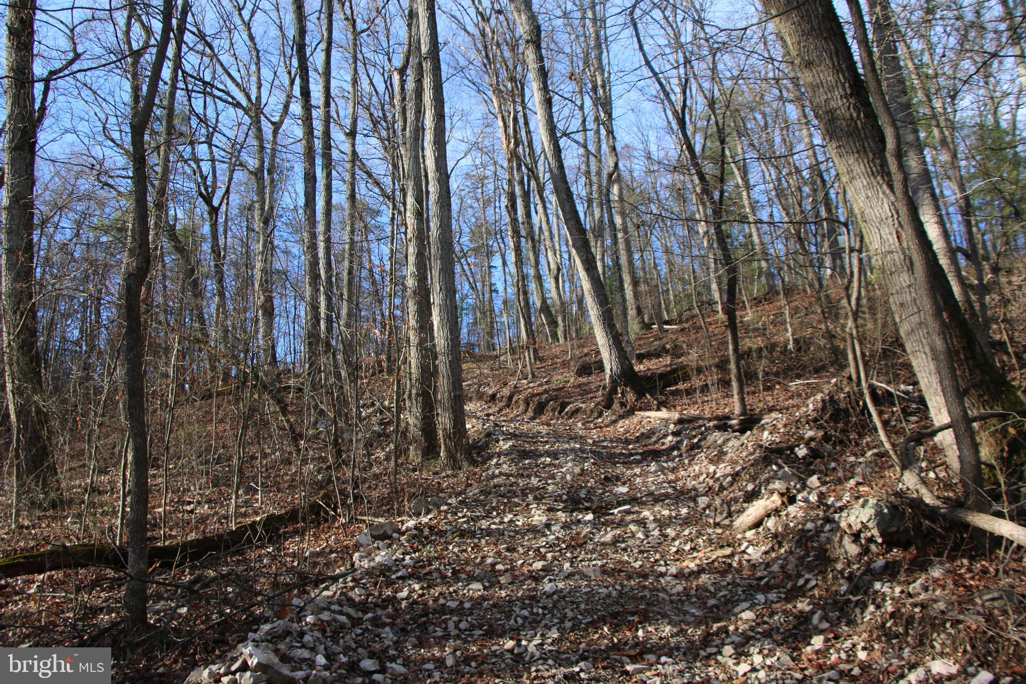 Valley Burg Road Luray, VA 22835 - Photo 24 of 43