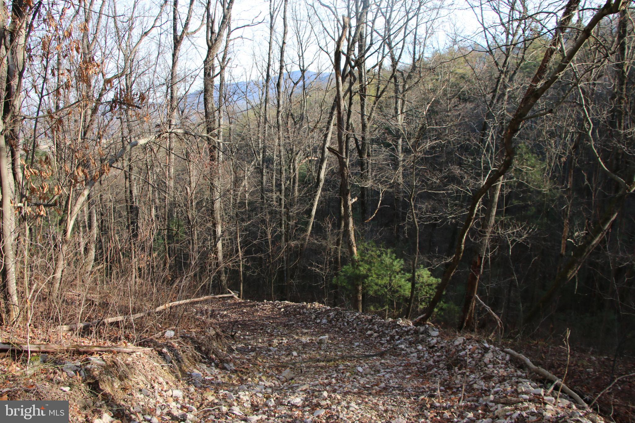 Valley Burg Road Luray, VA 22835 - Photo 25 of 43