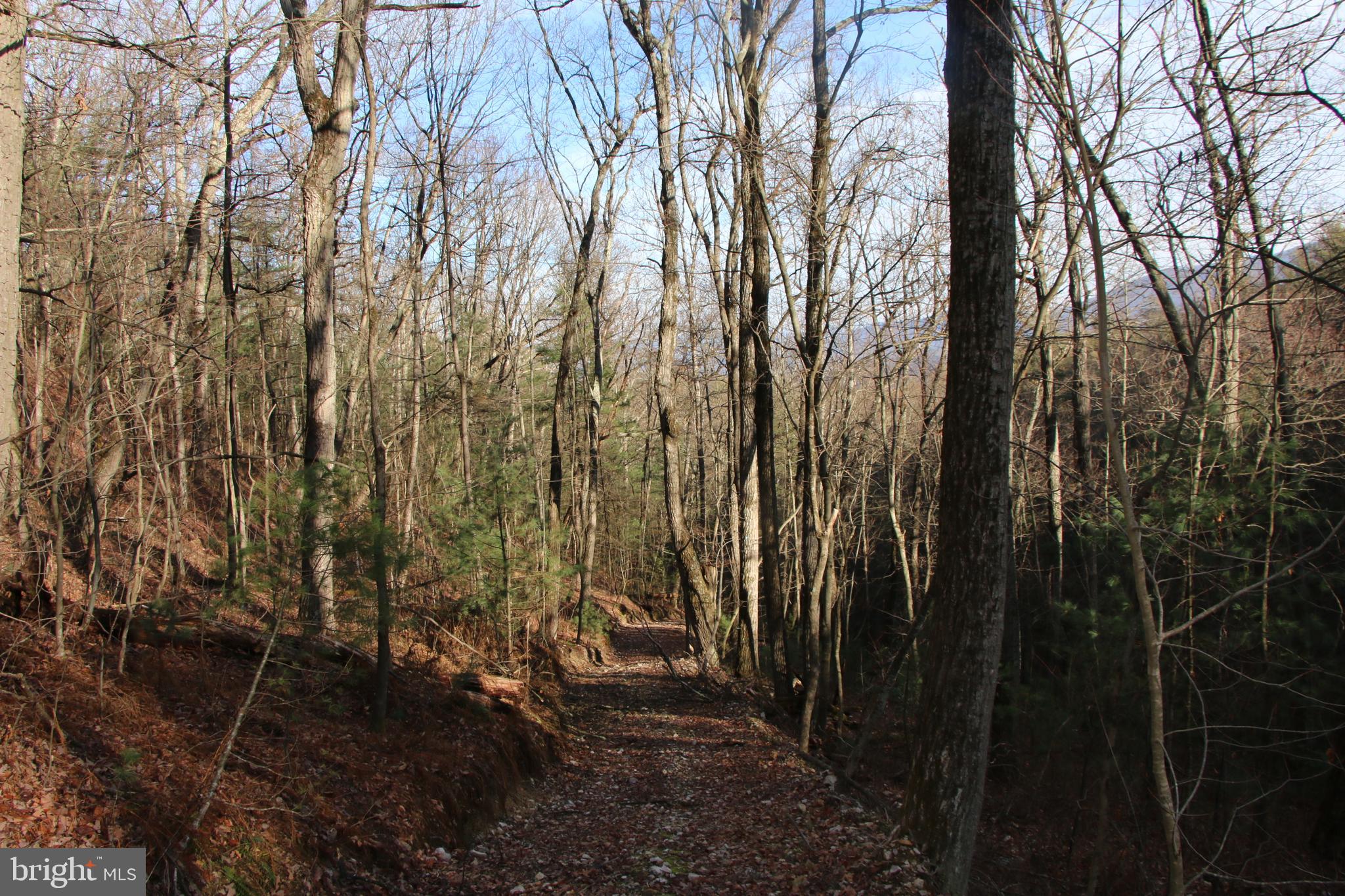 Valley Burg Road Luray, VA 22835 - Photo 26 of 43