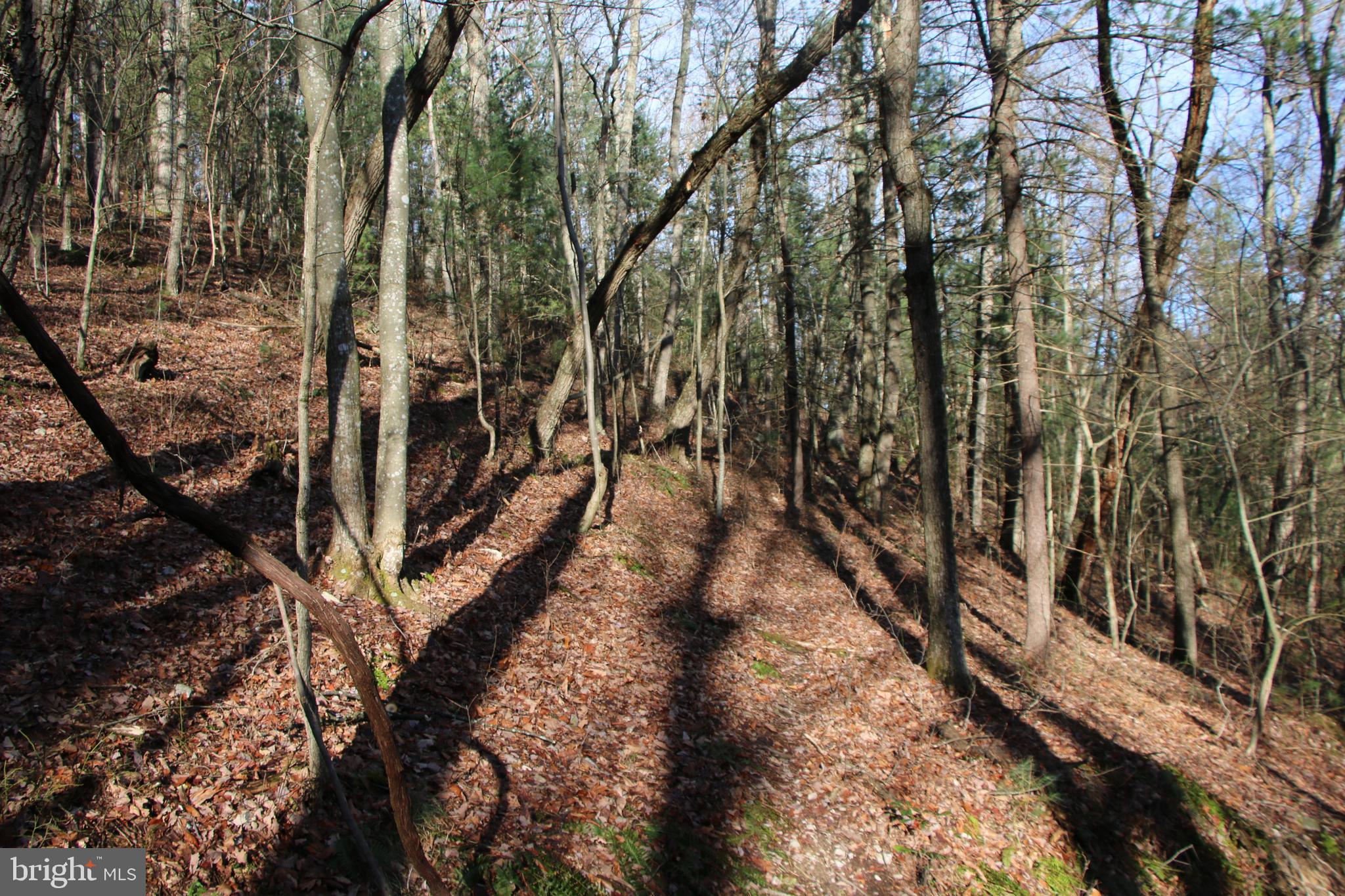 Valley Burg Road Luray, VA 22835 - Photo 27 of 43