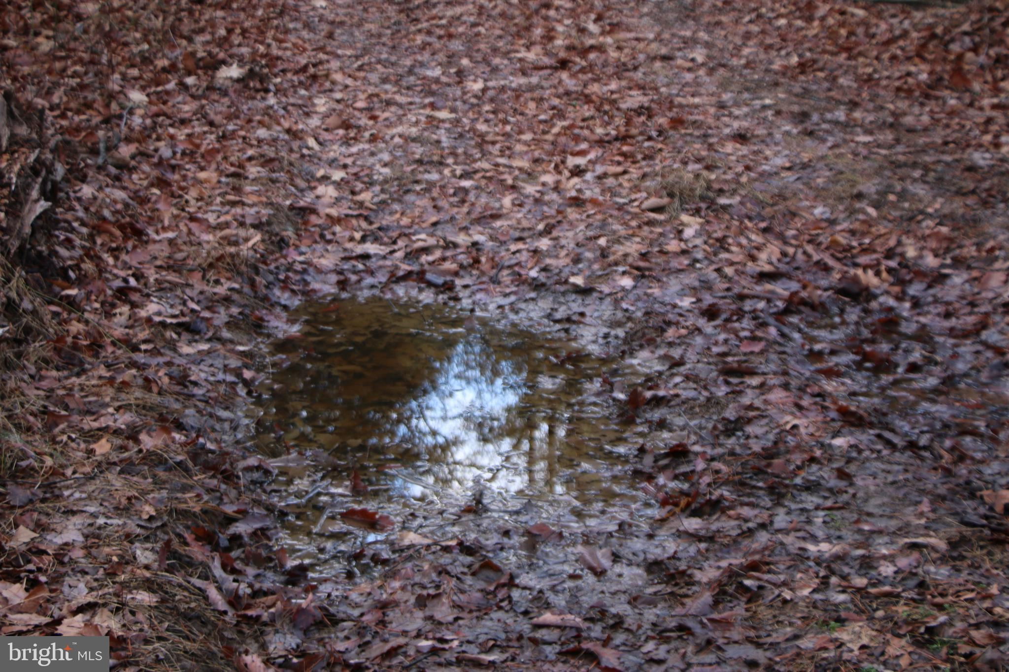 Valley Burg Road Luray, VA 22835 - Photo 28 of 43