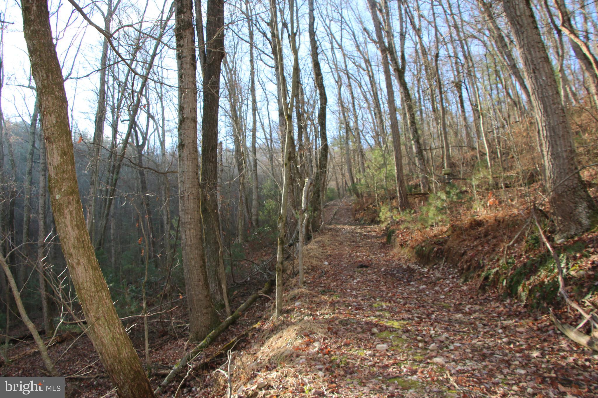 Valley Burg Road Luray, VA 22835 - Photo 30 of 61