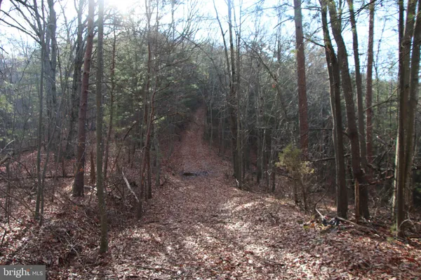 a view of outdoor space and green space