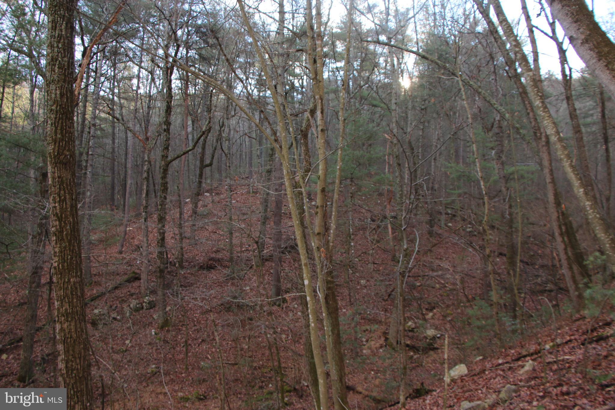 Valley Burg Road Luray, VA 22835 - Photo 32 of 61