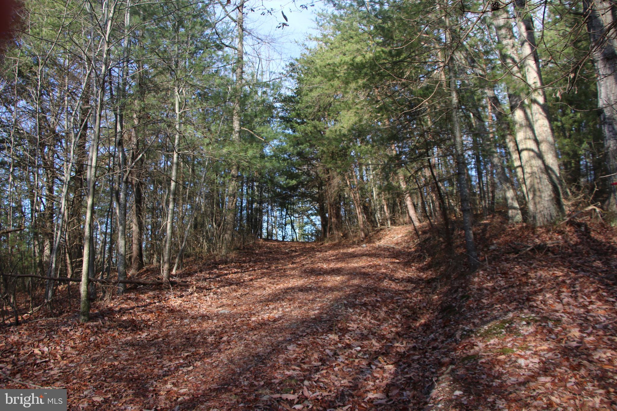 Valley Burg Road Luray, VA 22835 - Photo 33 of 61