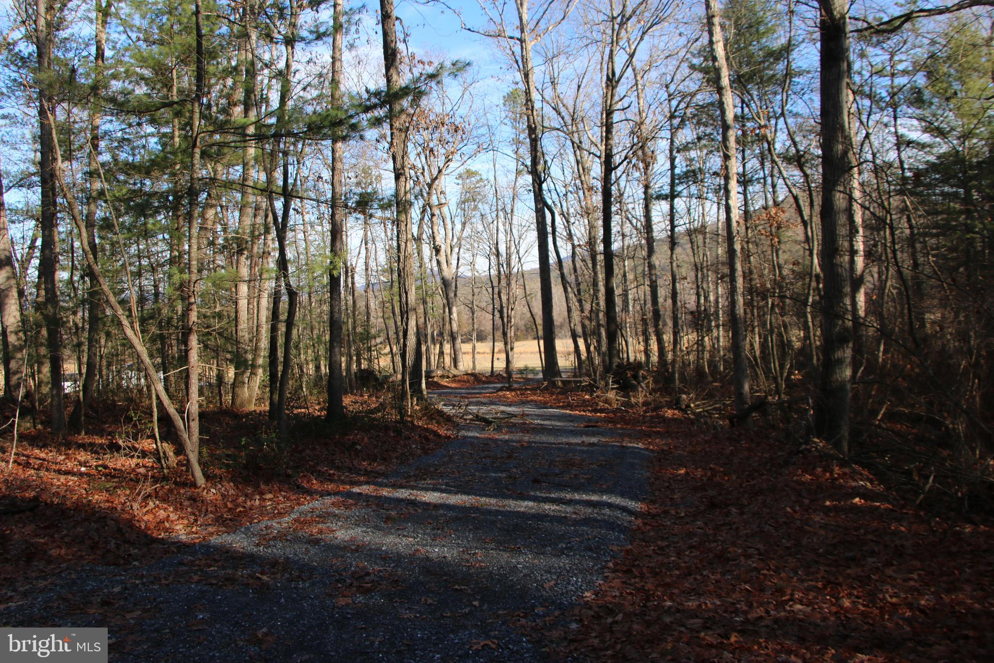 Valley Burg Road Luray, VA 22835 - Photo 34 of 43