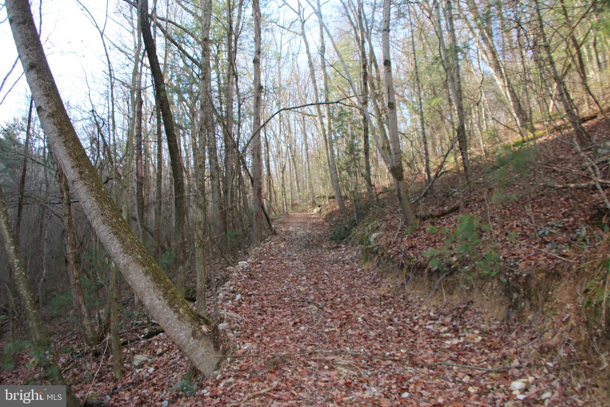 Valley Burg Road Luray, VA 22835 - Photo 34 of 61