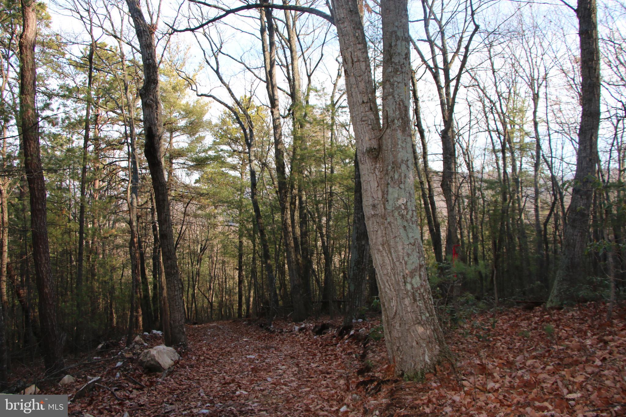 Valley Burg Road Luray, VA 22835 - Photo 36 of 43