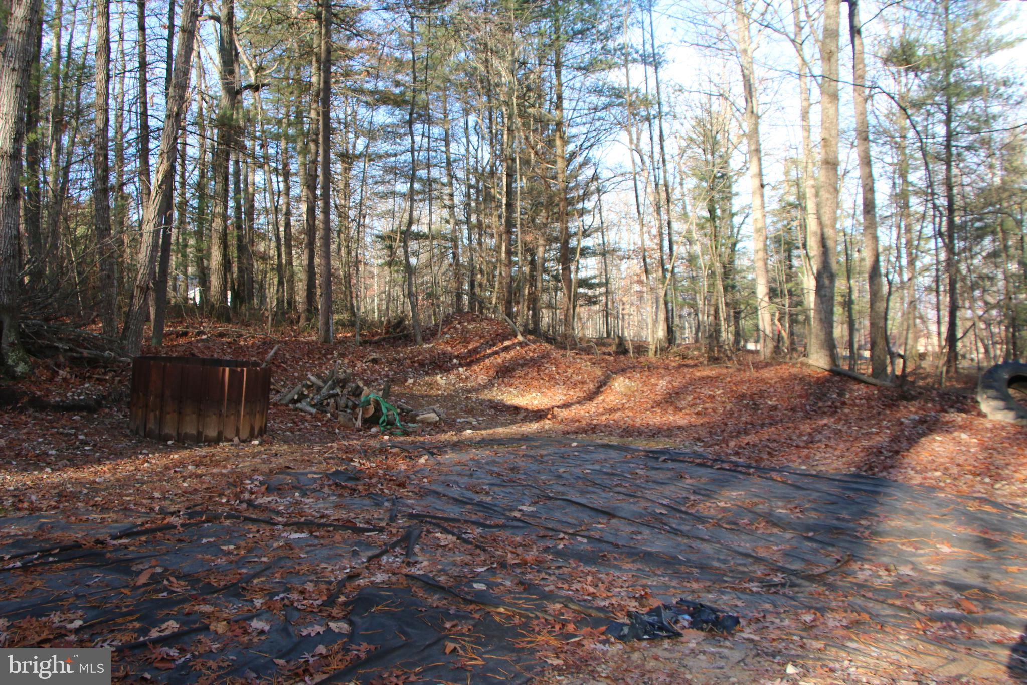 Valley Burg Road Luray, VA 22835 - Photo 38 of 43