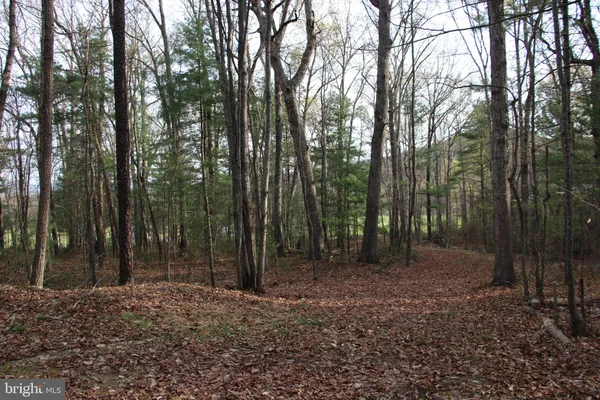a backyard of a house with lots of trees