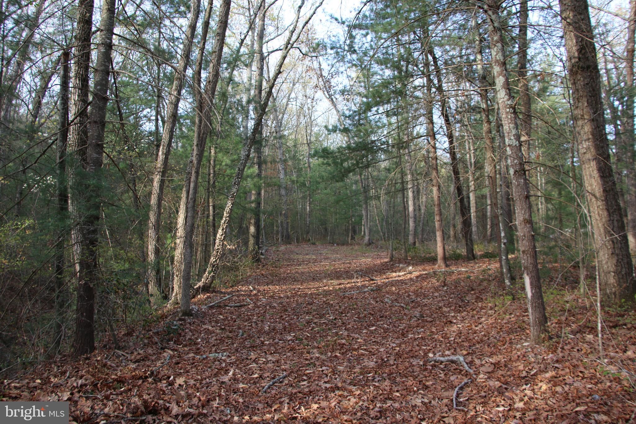 Valley Burg Road Luray, VA 22835 - Photo 48 of 61
