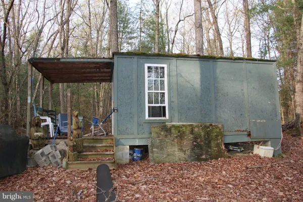 a view of a forest with trees