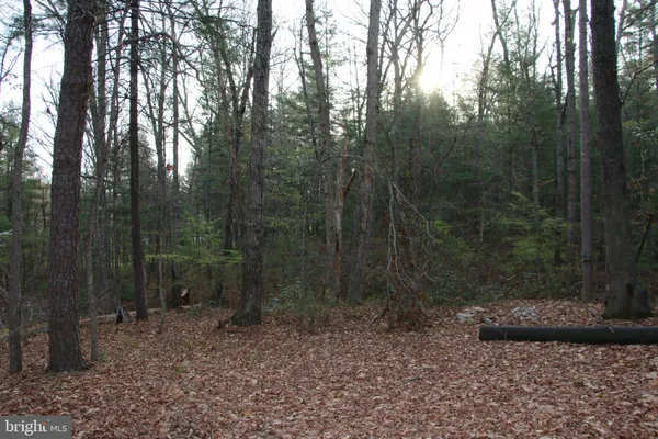 a view of outdoor space with green space