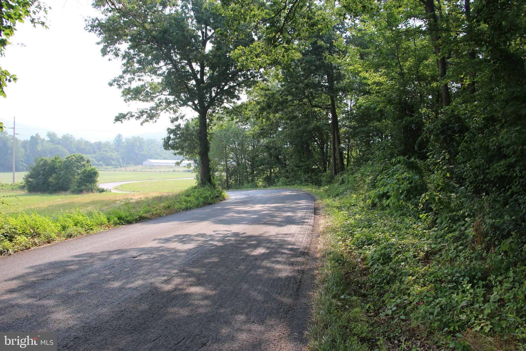 Valley Burg Road Luray, VA 22835 - Photo 5 of 61
