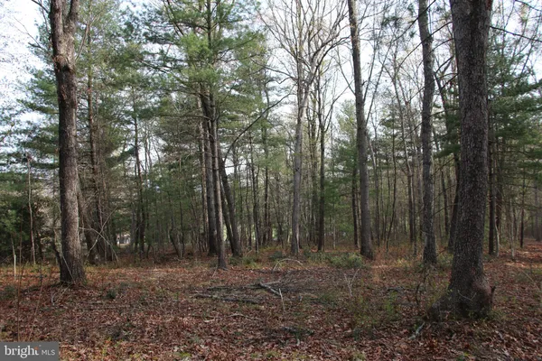 $250,000 | Valley Burg Road, Luray, VA 22835